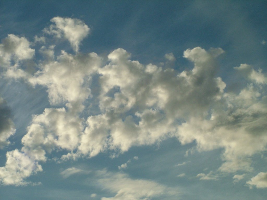 Click now to see this image full size.