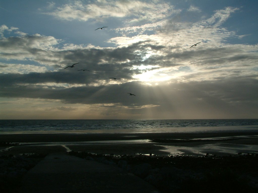 Click now to see this image full size.