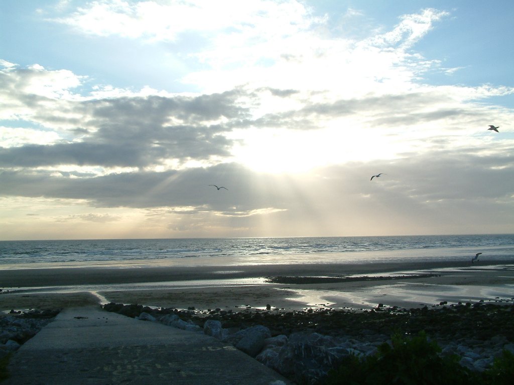 Click now to see this image full size.