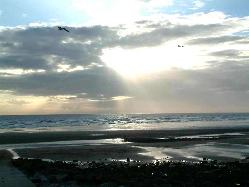 Click now to see this image full size.