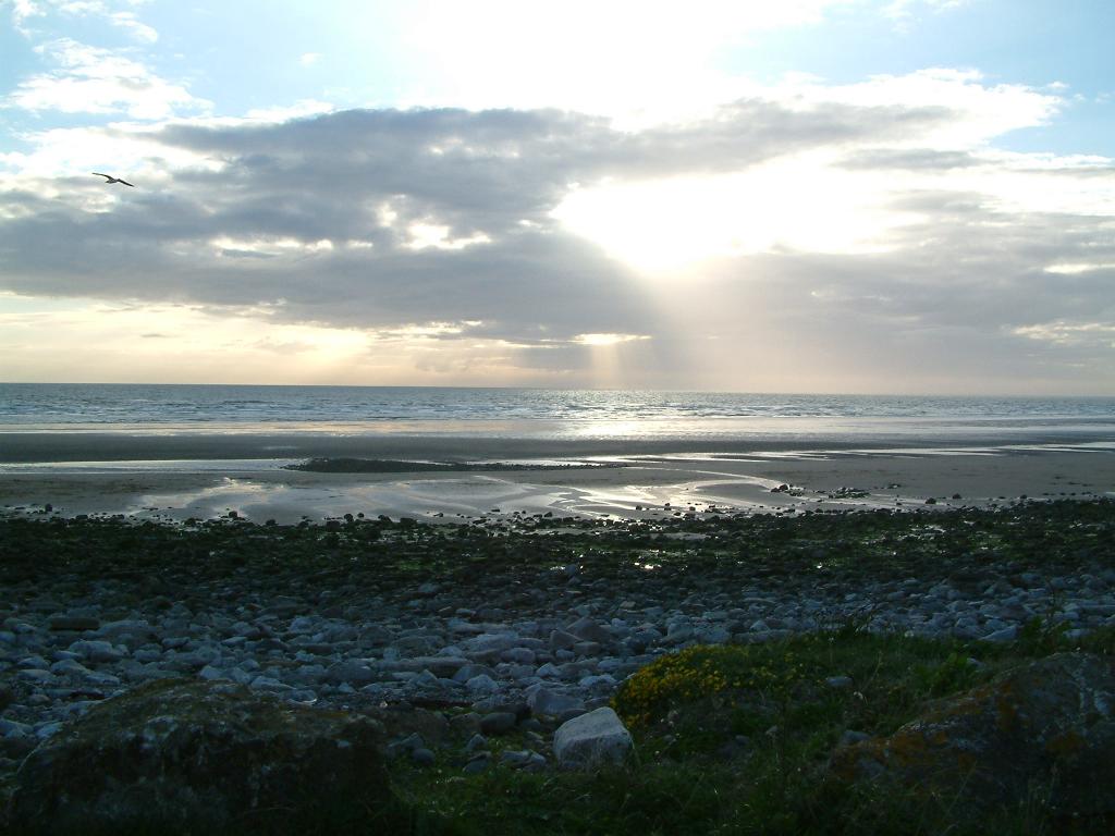 Click now to see this image full size.