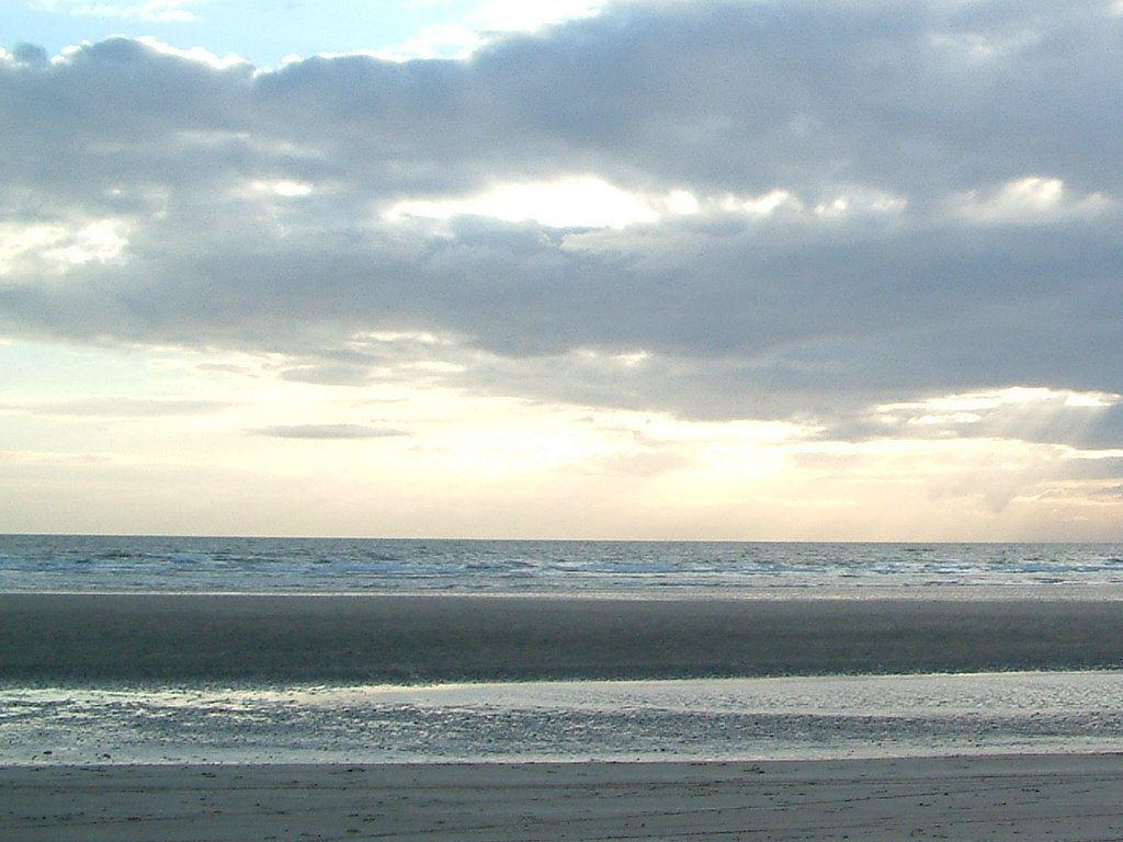 Click now to see this image full size.