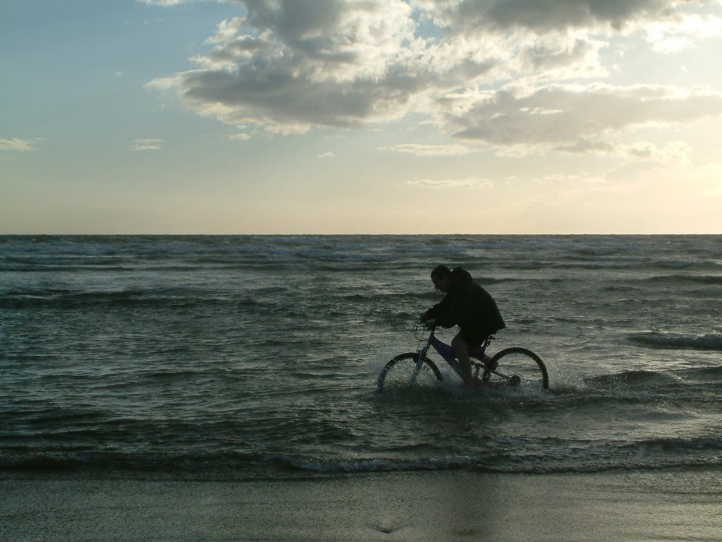 Click now to see this image full size.