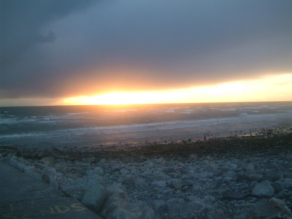 Click now to see this image full size.