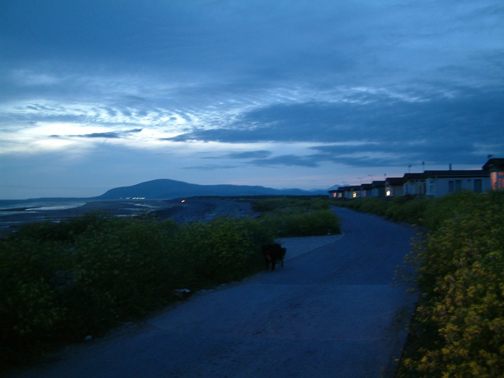 Click now to see this image full size.