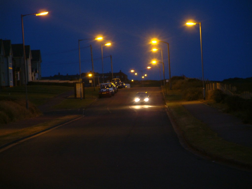 Click now to see this image full size.