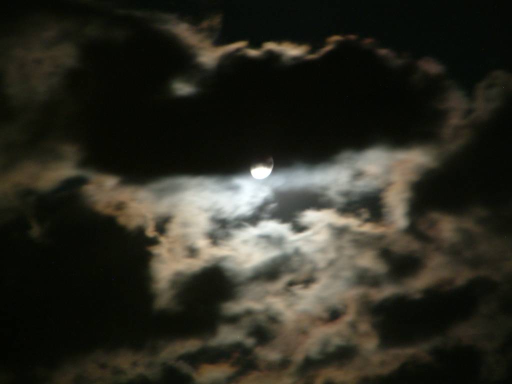 Click now to see this image full size.