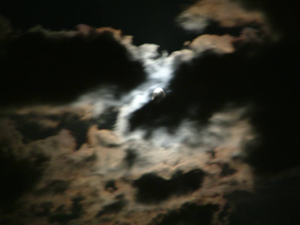 Click now to see this image full size.