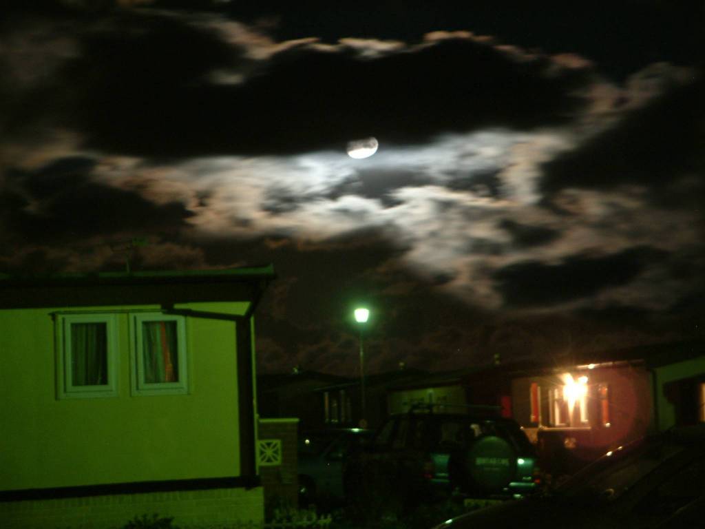 Click now to see this image full size.