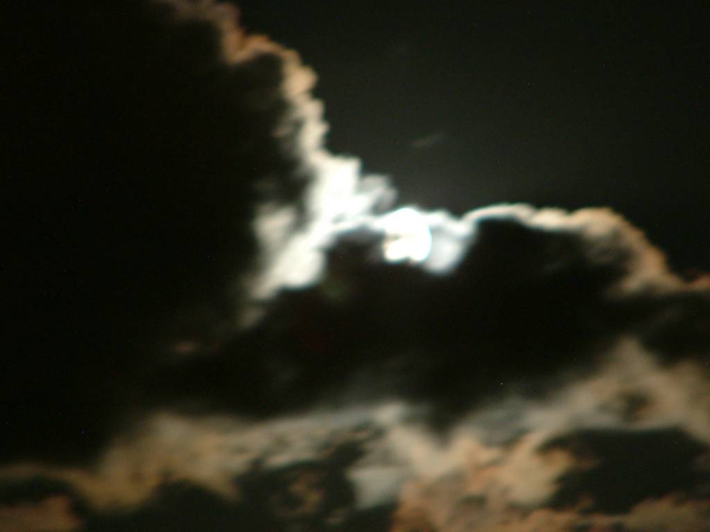 Click now to see this image full size.