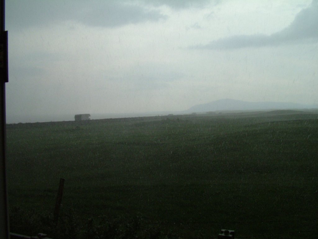 Click now to see this image full size.