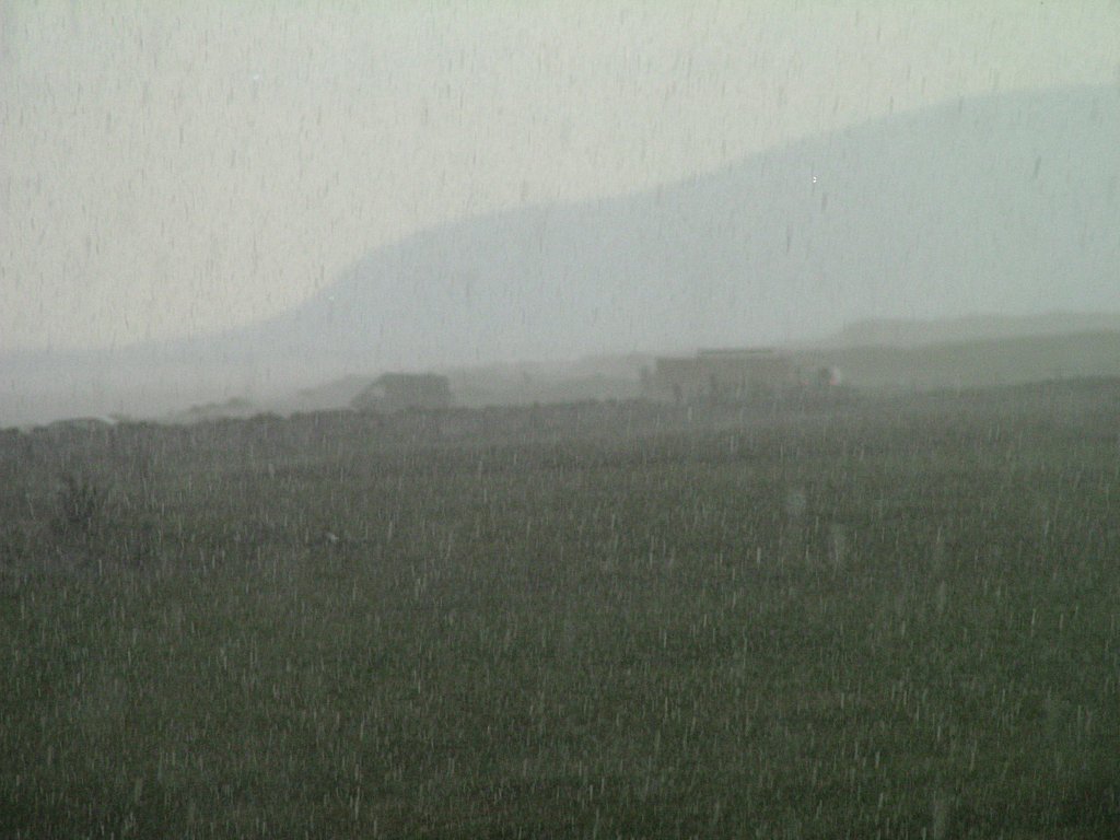 Click now to see this image full size.