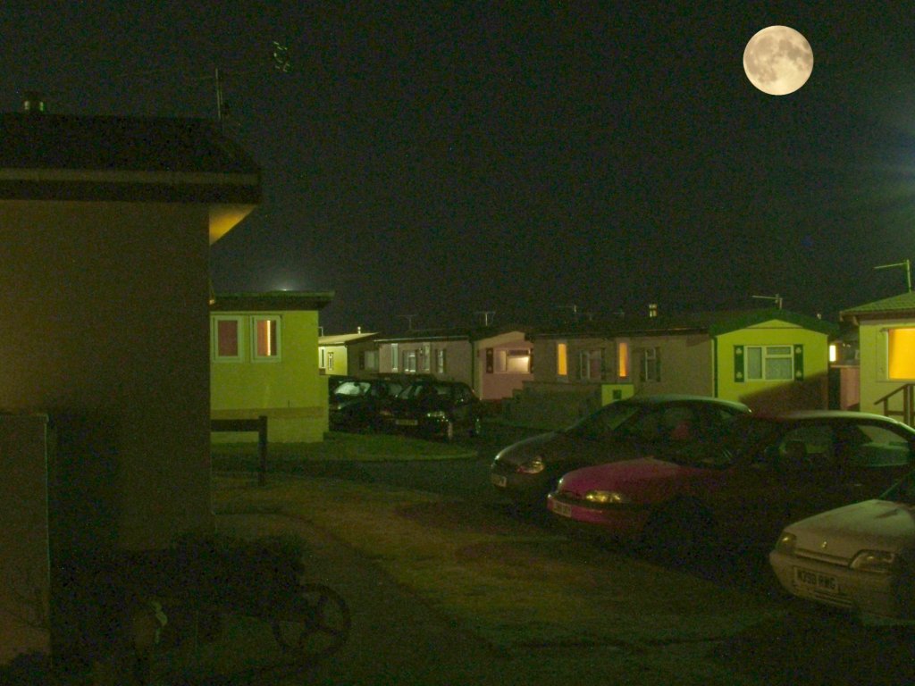 Click now to see this image full size.