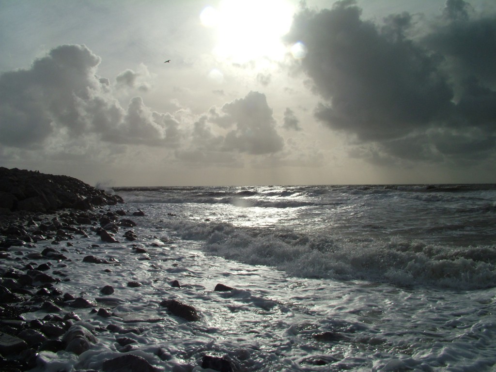 Click now to see this image full size.