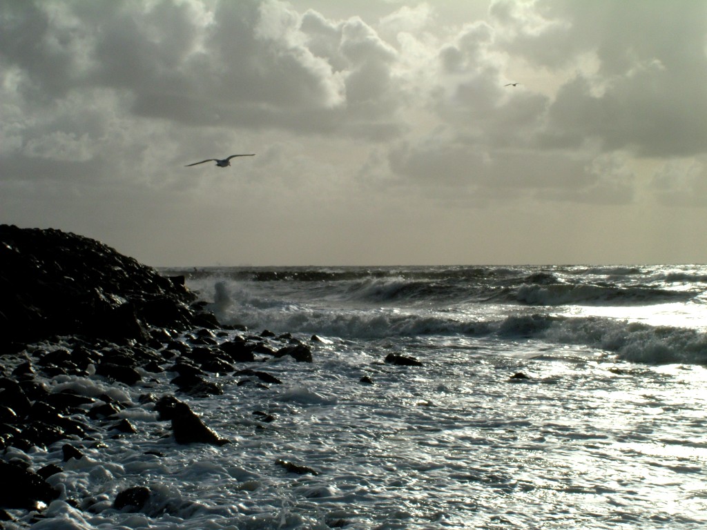 Click now to see this image full size.