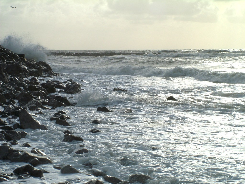 Click now to see this image full size.