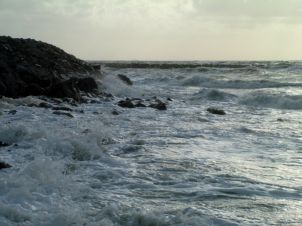 Click now to see this image full size.