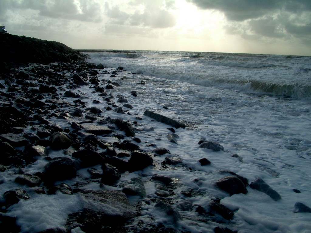 Click now to see this image full size.