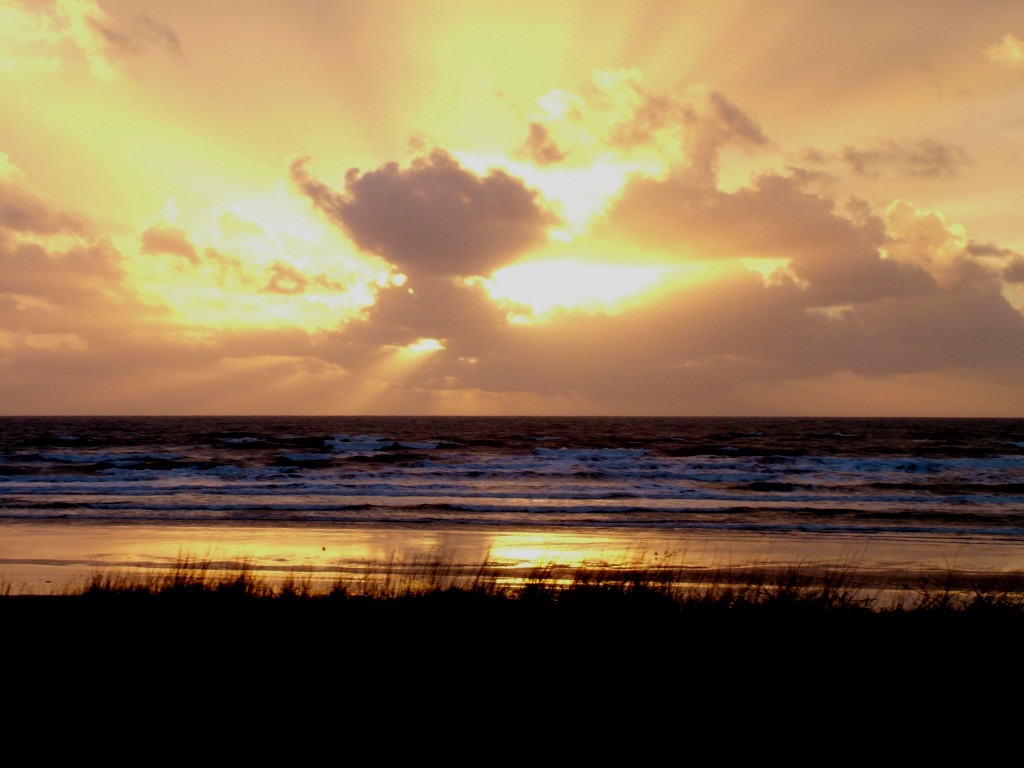 Click now to see this image full size.