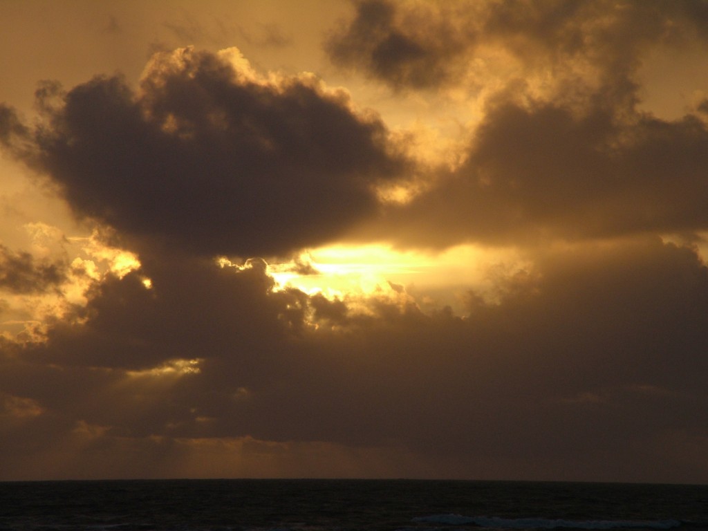 Click now to see this image full size.