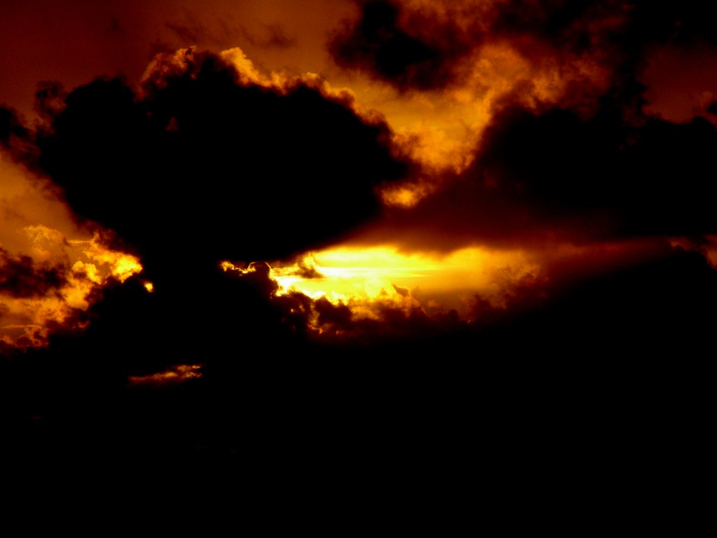 Click now to see this image full size.