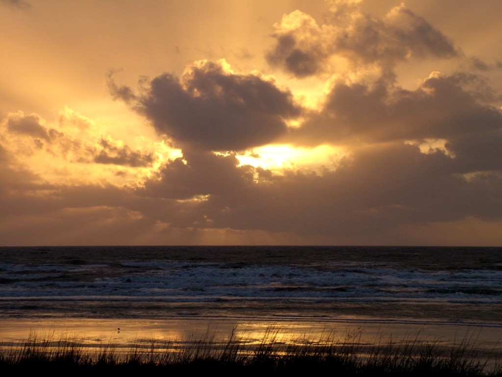 Click now to see this image full size.