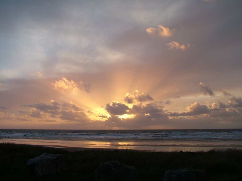 Click now to see this image full size.