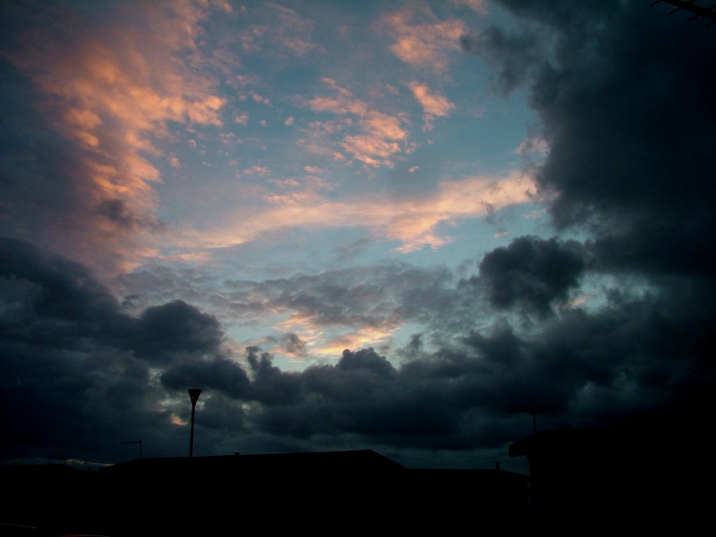 Click now to see this image full size.