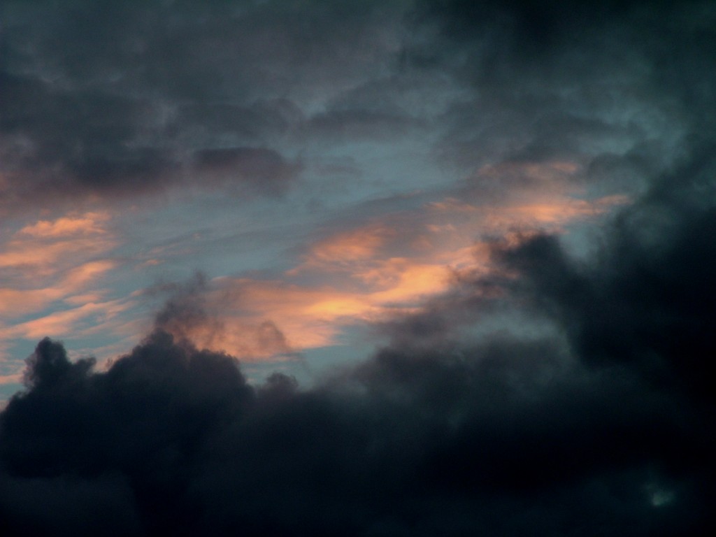 Click now to see this image full size.