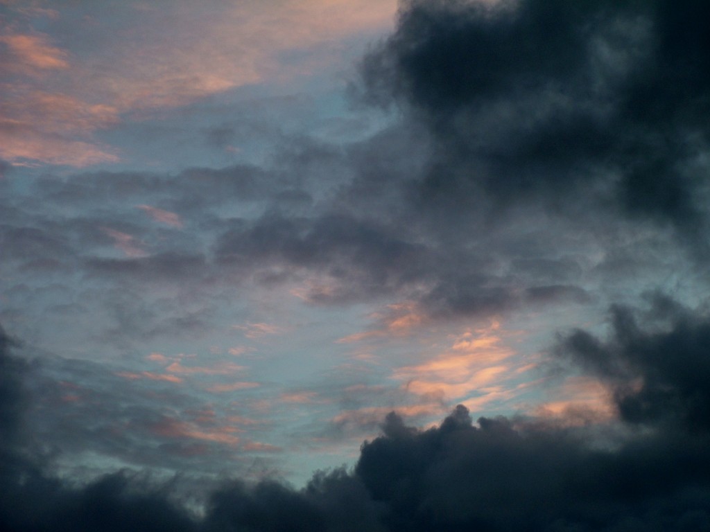 Click now to see this image full size.