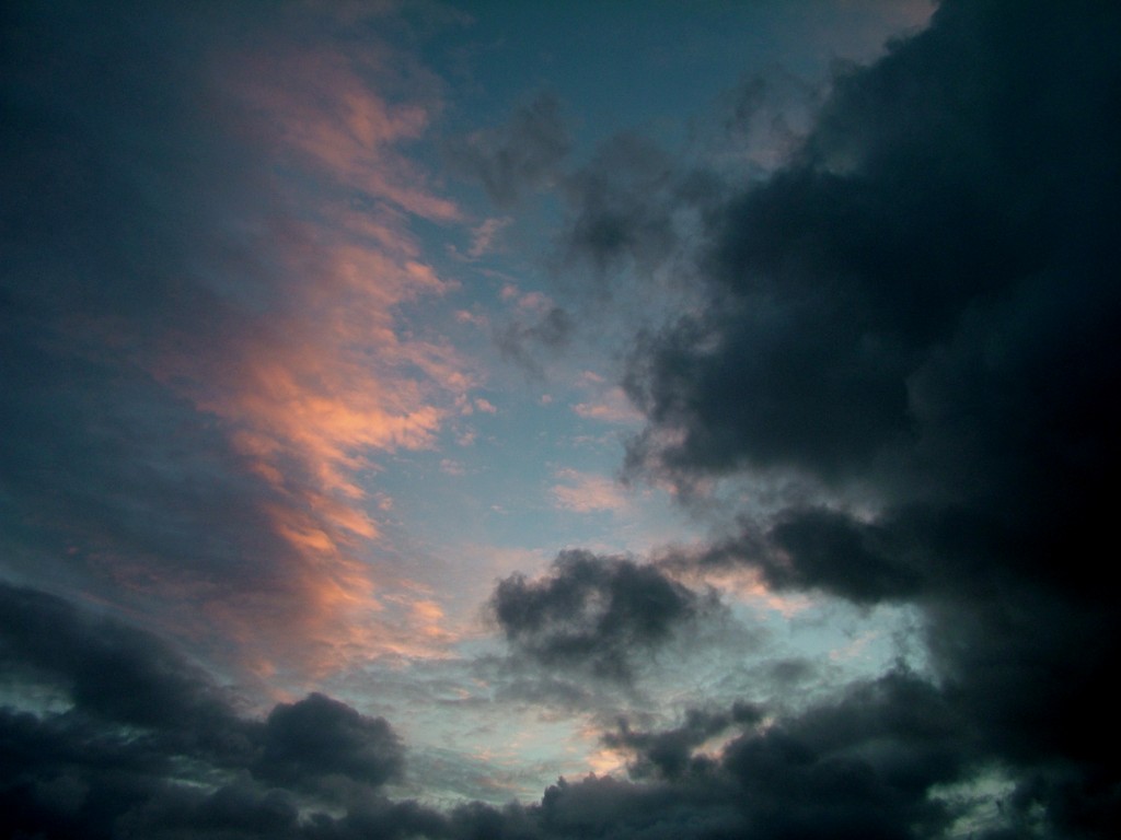 Click now to see this image full size.