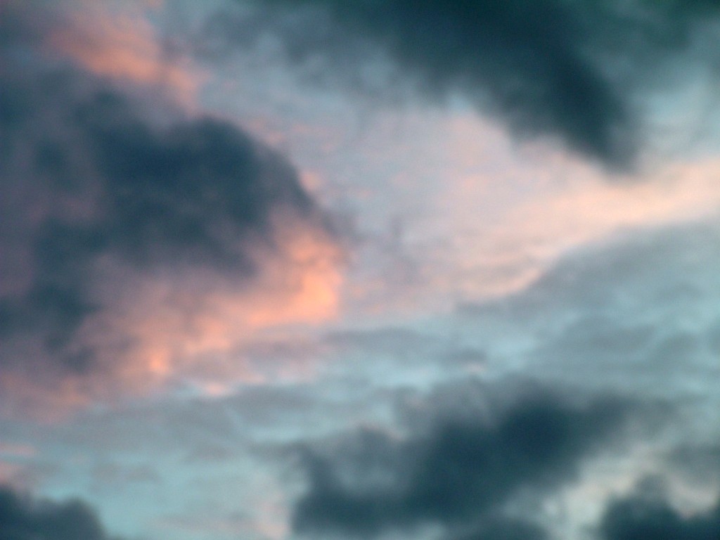 Click now to see this image full size.