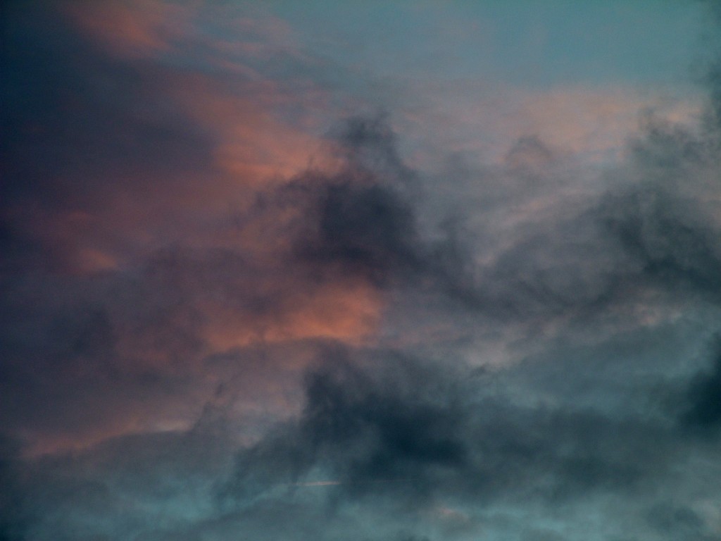 Click now to see this image full size.