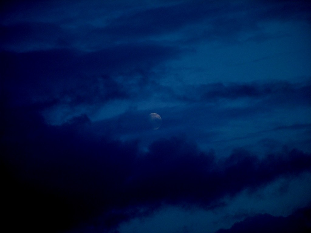 Click now to see this image full size.