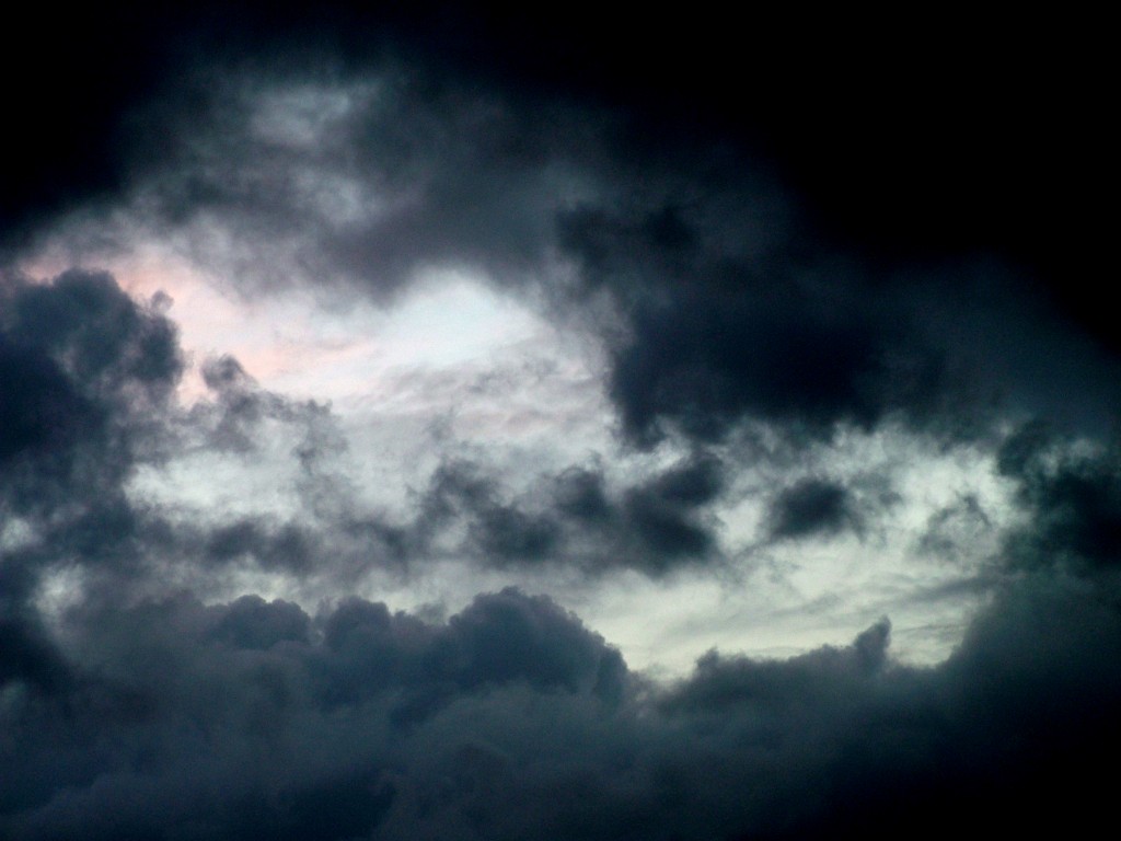 Click now to see this image full size.