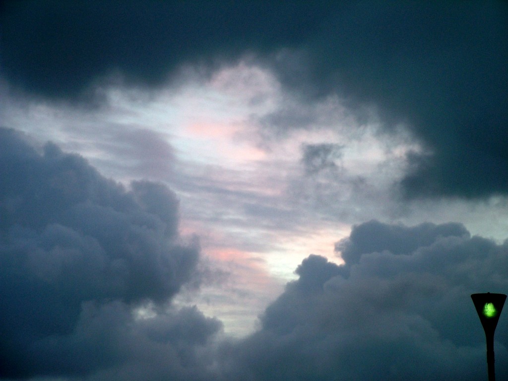 Click now to see this image full size.