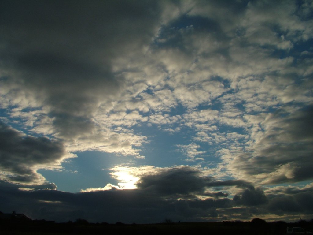 Click now to see this image full size.