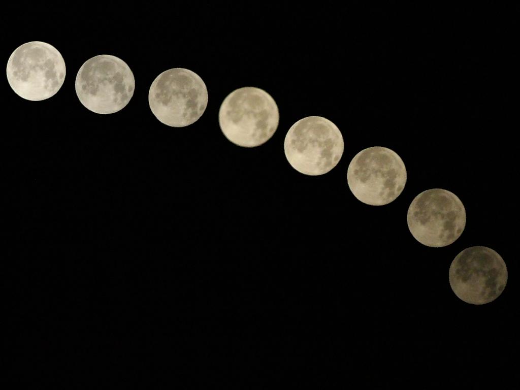 Click now to see this image full size.