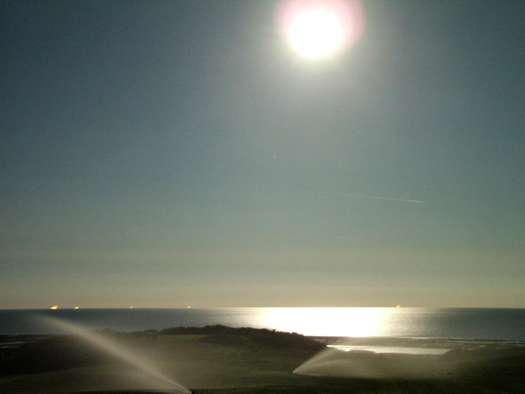 Click now to see this image full size.