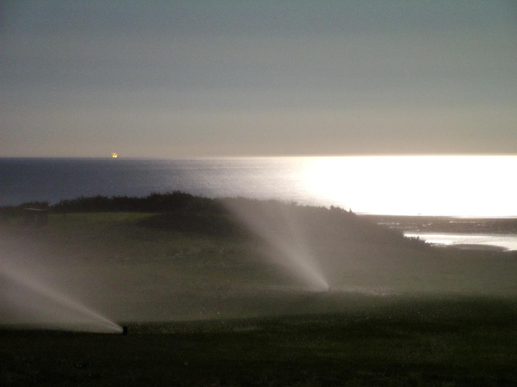 Click now to see this image full size.