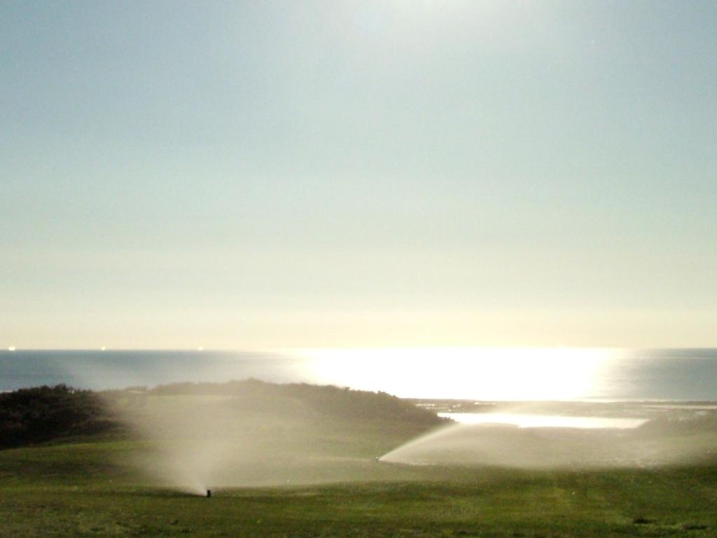 Click now to see this image full size.