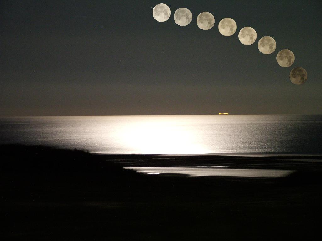 Click now to see this image full size.