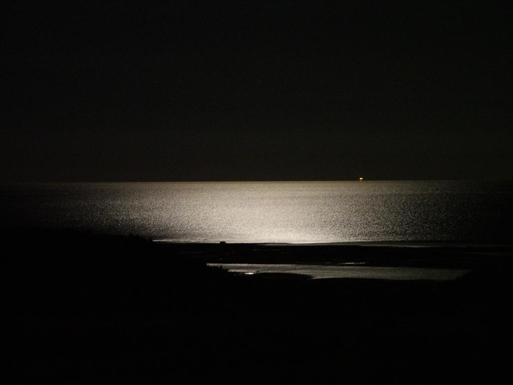 Click now to see this image full size.