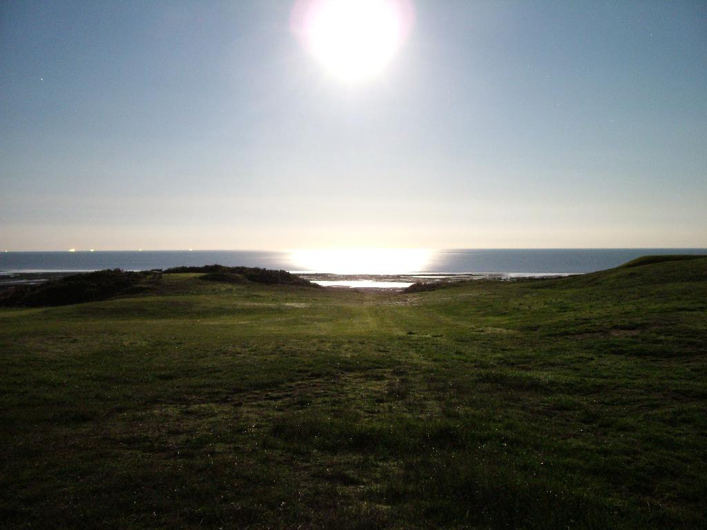 Click now to see this image full size.