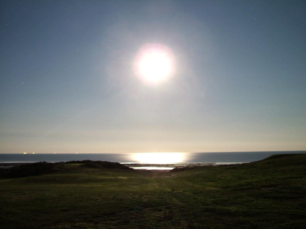 Click now to see this image full size.