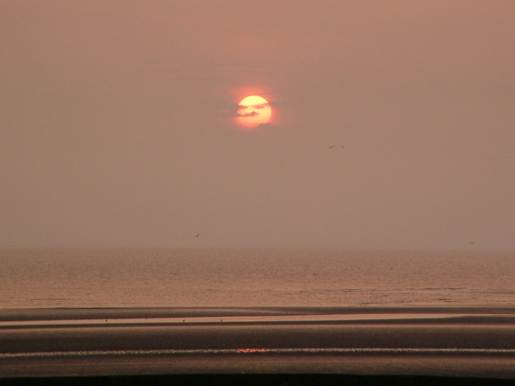 Click now to see this image full size.