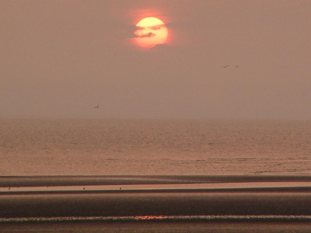 Click now to see this image full size.