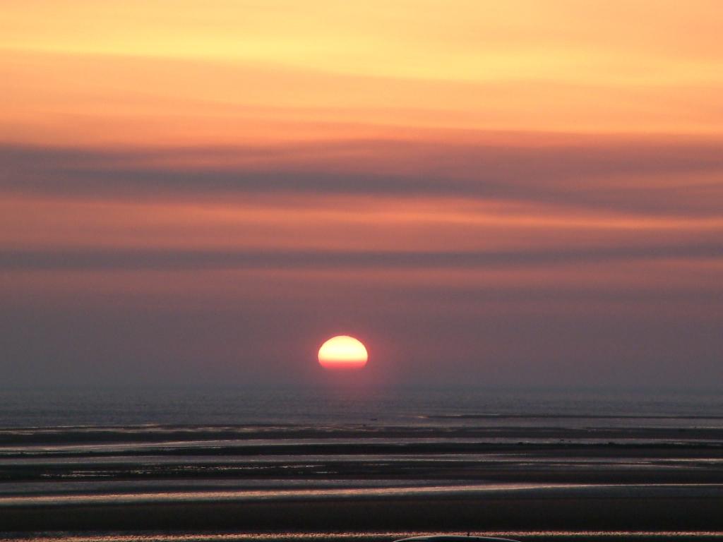 Click now to see this image full size.