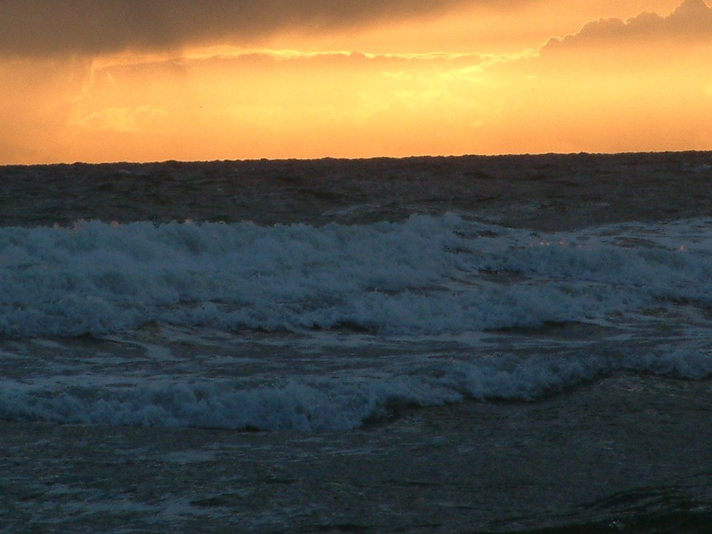 Click now to see this image full size.