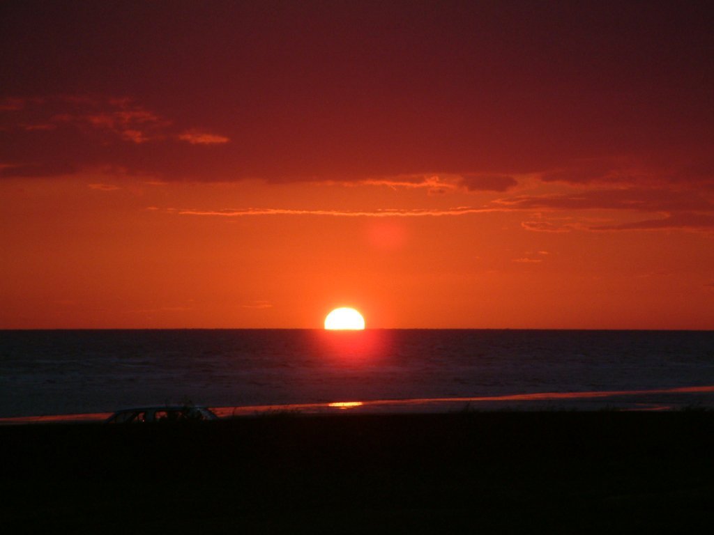 Click now to see this image full size.